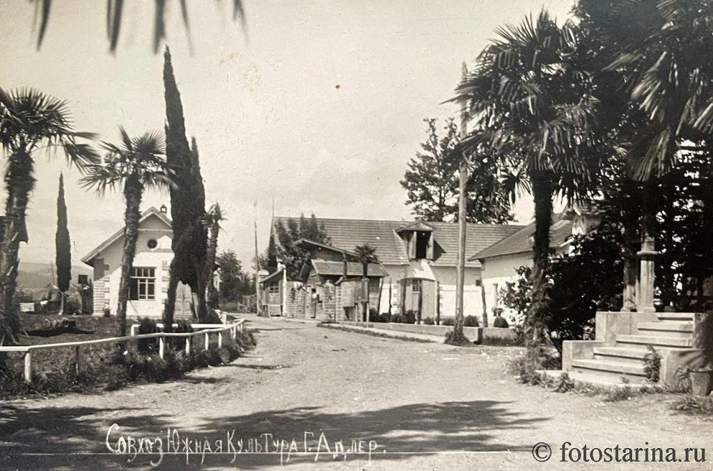 Совхоз «Южные культуры» на фотографиях 1930-е г.